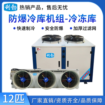 利勃防爆冷库机组-冷冻库12p