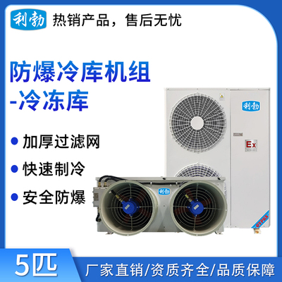 利勃防爆冷库机组-冷冻库5p