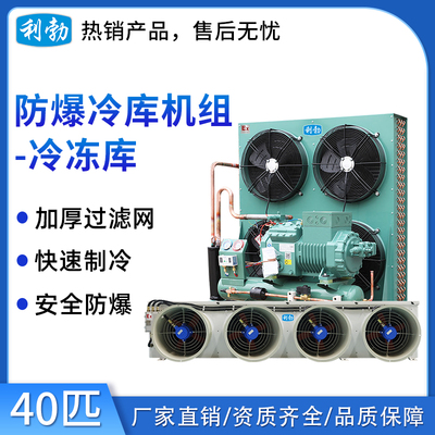 利勃防爆冷库机组-冷冻库40p