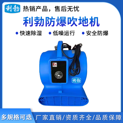 利勃防爆吹地机-1100W标准款