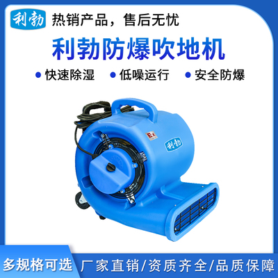利勃防爆吹地机-1500W