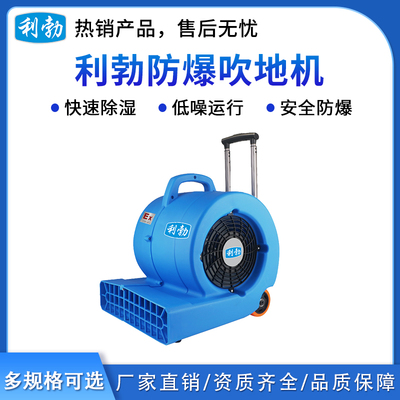 利勃防爆吹地机-1100W升级版