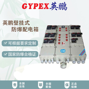 壁掛式防爆配電箱