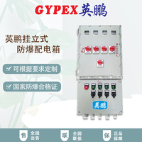 掛立式防爆配電箱