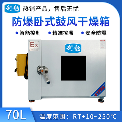 利勃防爆电热鼓风干燥箱70升-卧式