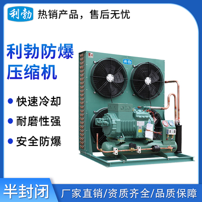 利勃防爆半封闭-压缩机冷库节能制冷机组