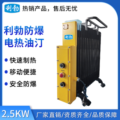 利勃防爆电热油汀-13片