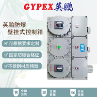 壁掛式防爆控制箱