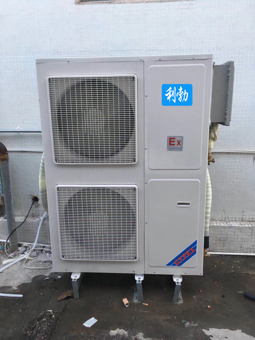 利勃10匹外.jpg