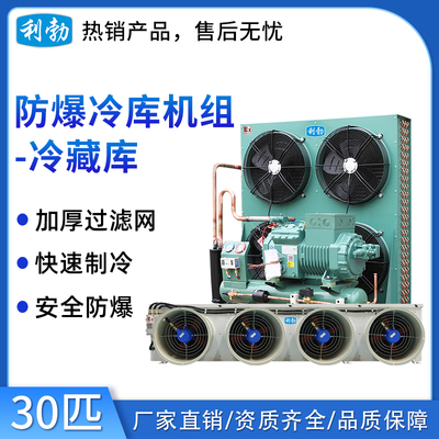 利勃防爆冷库机组-冷藏库-30p