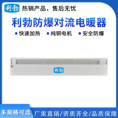 利勃防爆对流电暖器-2000W