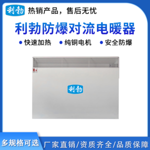 利勃防爆对流电暖器-3000W