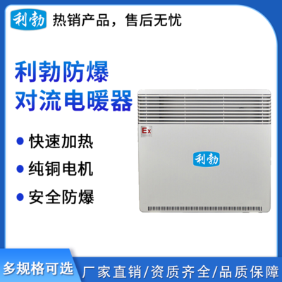 利勃防爆对流电暖器-500W