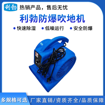 利勃防爆吹地机-750W